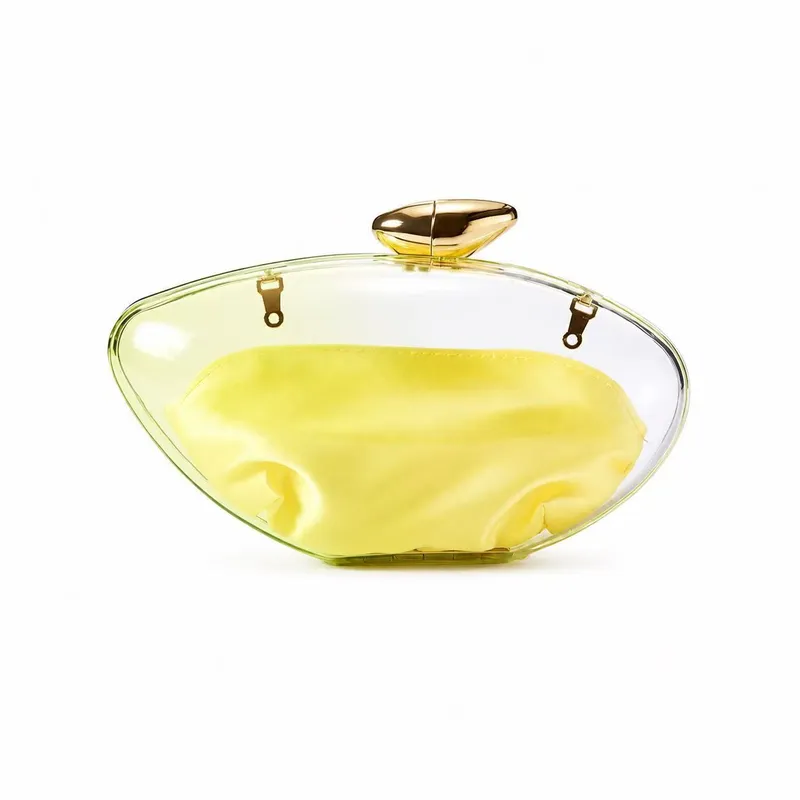 Custom Acrylic Evening Bag5
